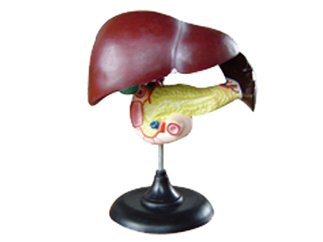 SD-093 33216ʮ֬cKģ